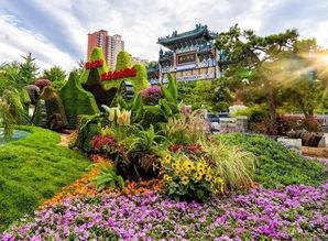 哈尔滨植物园爆料案件最新,惊现神秘命案，真相扑朔迷离！  第3张